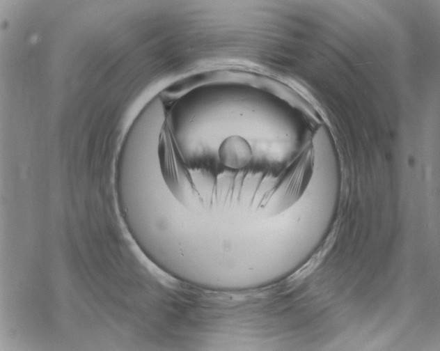 X0000067921438200605111957