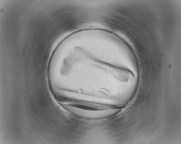 X0000067921440200605111957