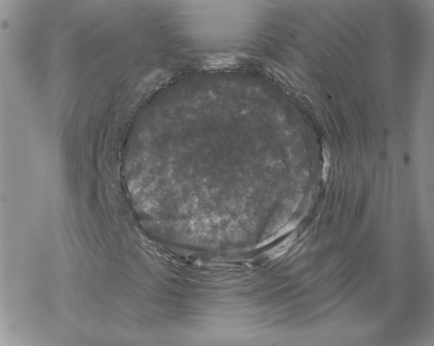 X0000067921441200605111956