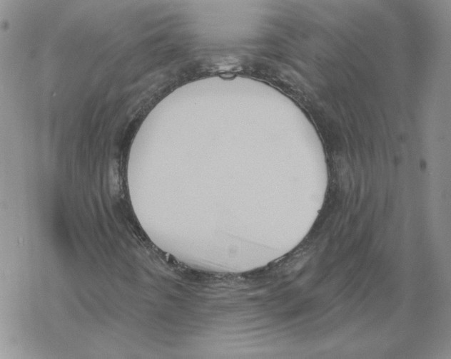 X0000067921442200605111956