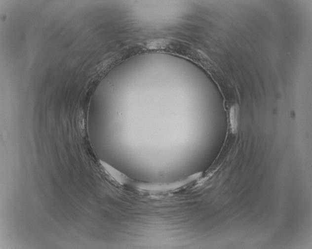 X0000067921443200605111956