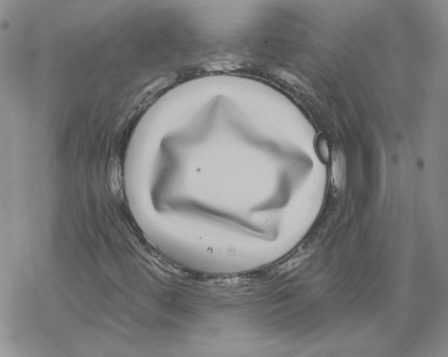 X0000067921444200605111956