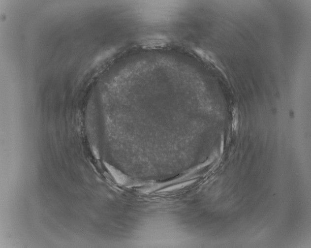 X0000067921445200605111956