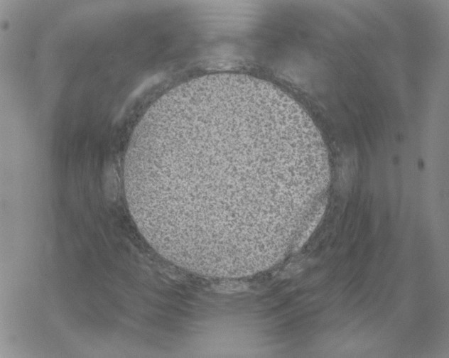 X0000067921446200605111956