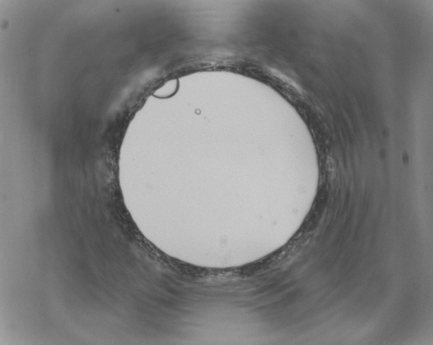 X0000067921447200605111956