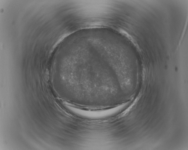 X0000067921449200605111956