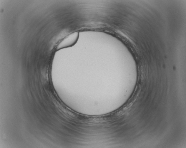 X0000067921451200605111956