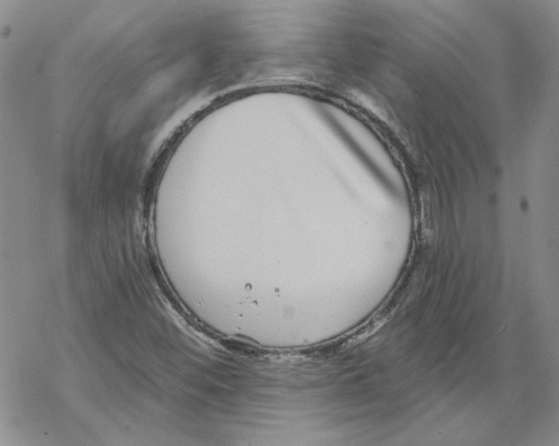 X0000067921452200605111956