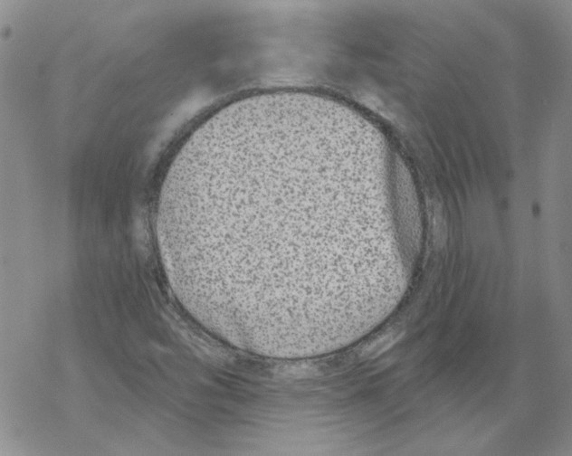 X0000067921454200605111956