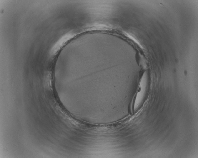 X0000067921455200605111956