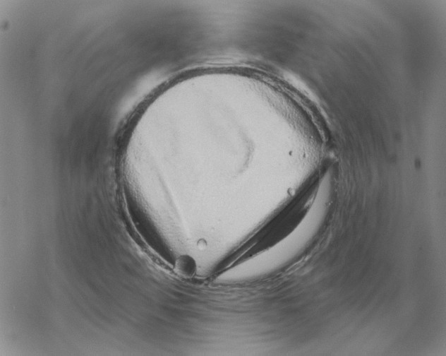 X0000067921456200605111956