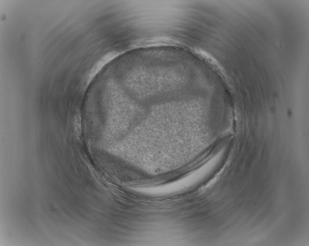 X0000067921457200605111956