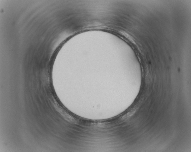 X0000067921458200605111956