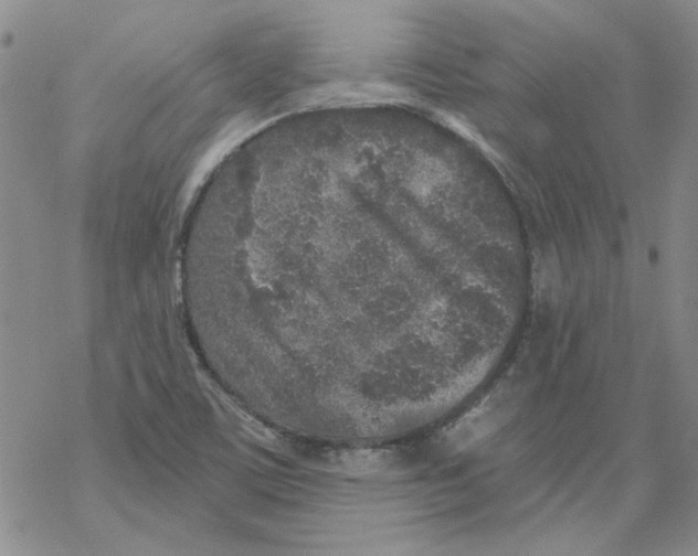 X0000067921459200605111956