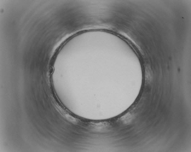 X0000067921460200605111956