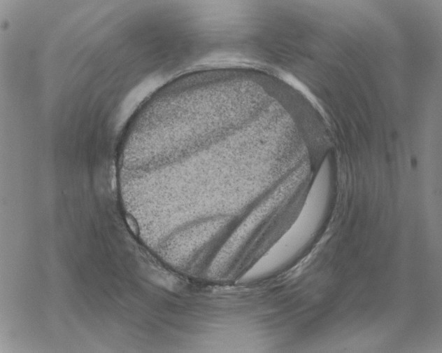 X0000067921461200605111956