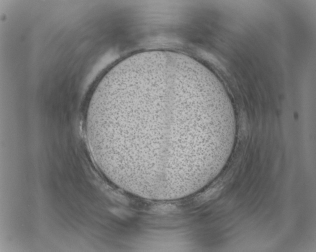 X0000067921462200605111956