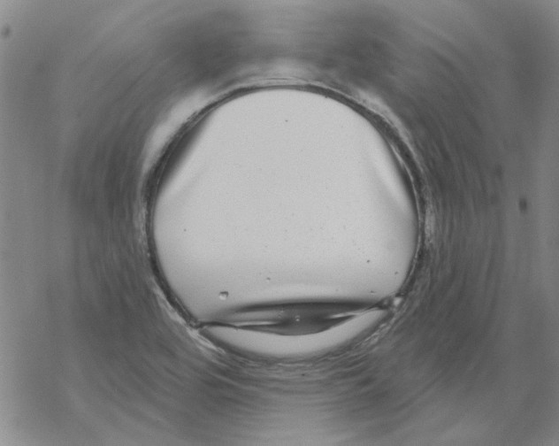 X0000067921464200605111956