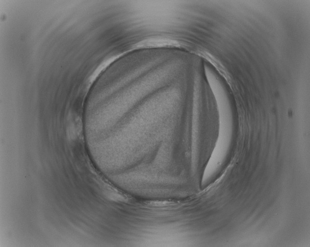 X0000067921465200605111956