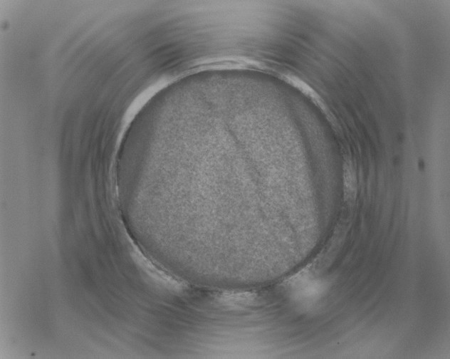 X0000067921466200605111956