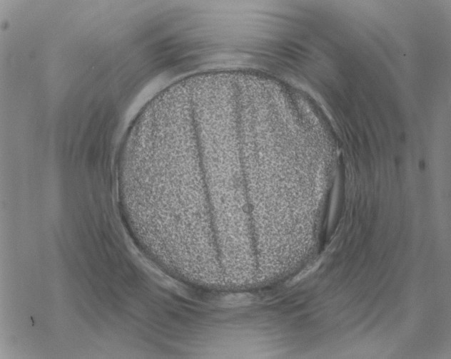 X0000067921467200605111956