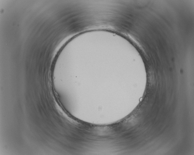 X0000067921468200605111956