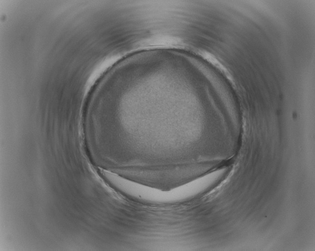 X0000067921469200605111956