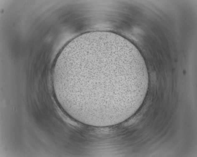 X0000067921470200605111956