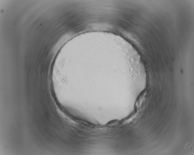 X0000067921471200605111956