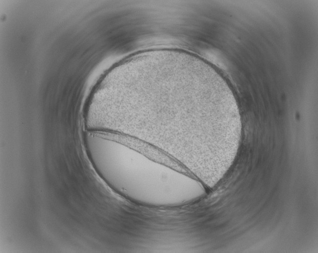 X0000067921472200605111956