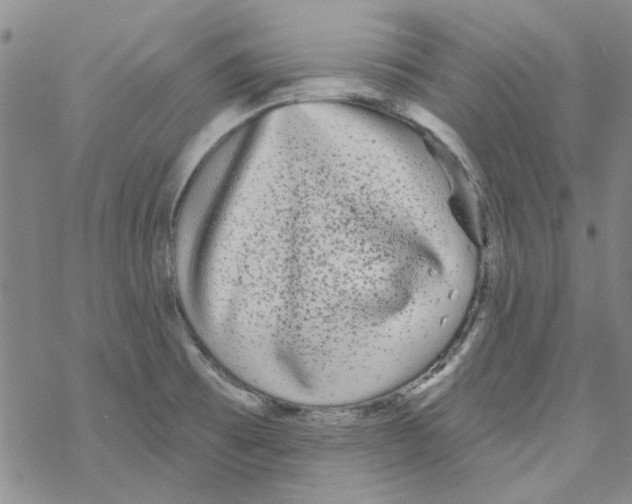 X0000067921473200605111956