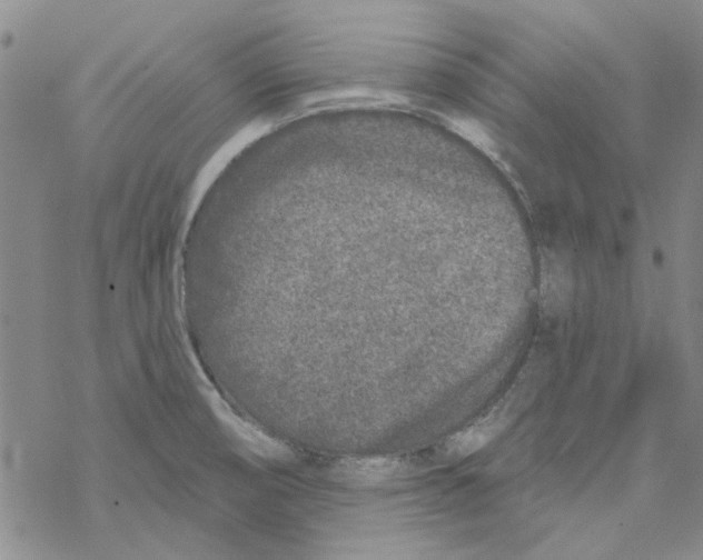 X0000067921474200605111956