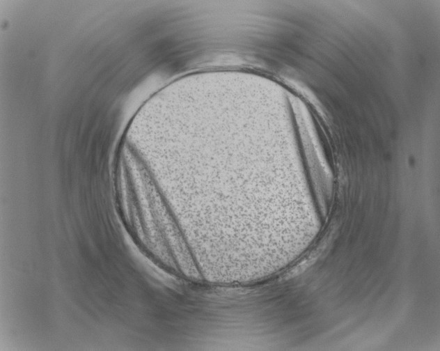 X0000067921475200605111956