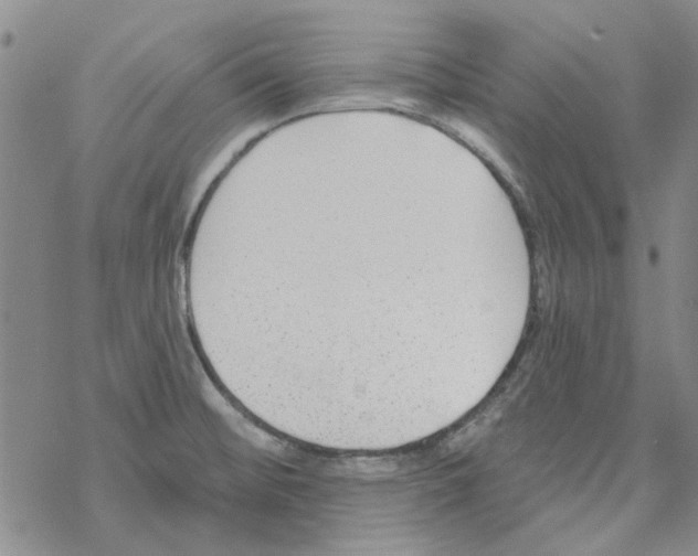 X0000067921476200605111956