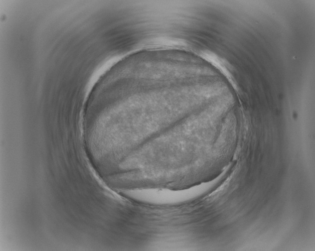 X0000067921477200605111956