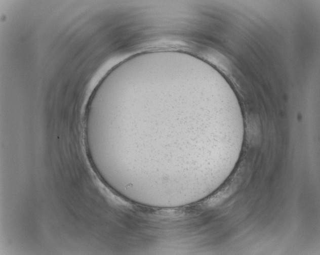 X0000067921478200605111956