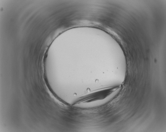 X0000067921479200605111956