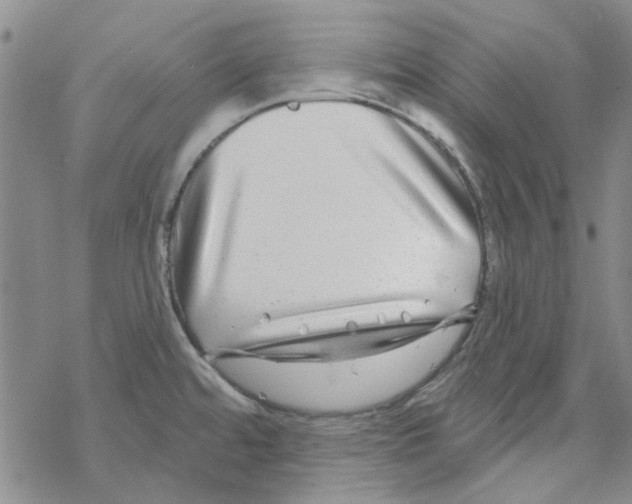 X0000067921480200605111955