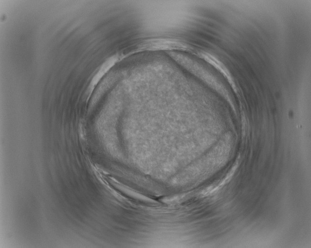 X0000067921481200605111955