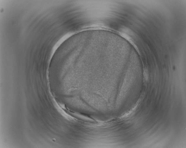 X0000067921482200605111955