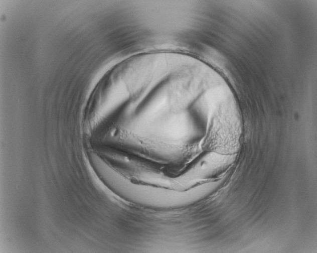 X0000067921483200605111955