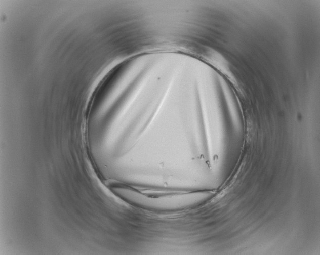 X0000067921484200605111955