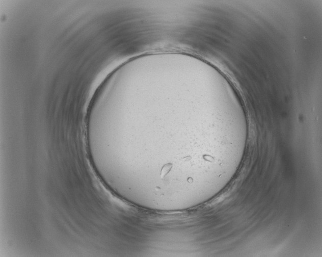 X0000067921486200605111955