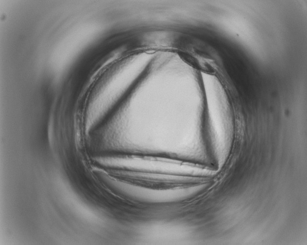 X0000067921487200605111955