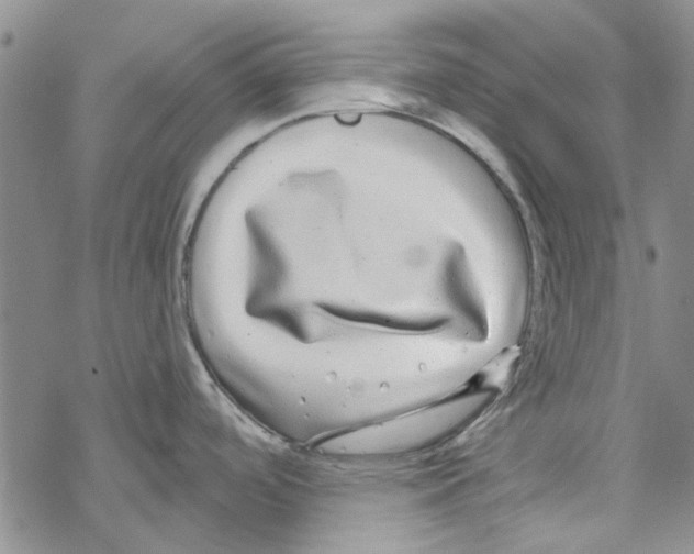 X0000067921488200605111955