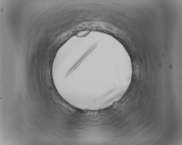 X0000067921489200605111955