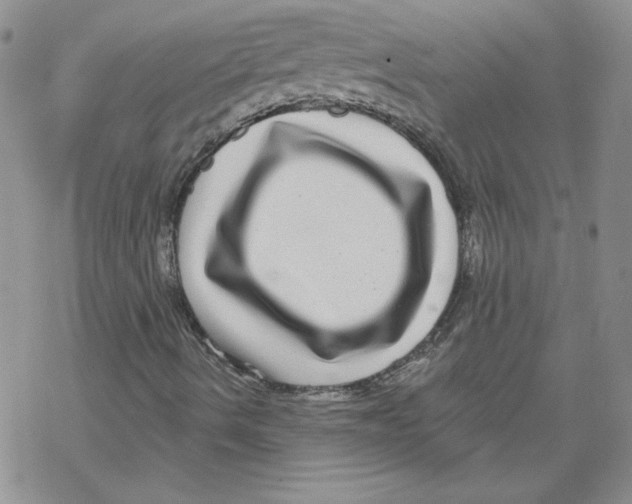 X0000067921490200605111955