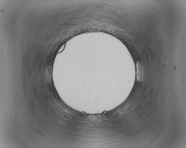 X0000067921491200605111955