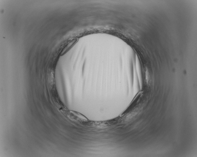 X0000067921492200605111955