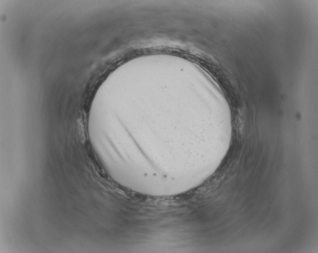 X0000067921493200605111955